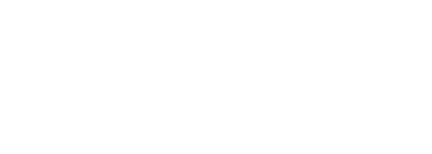 SEO Company