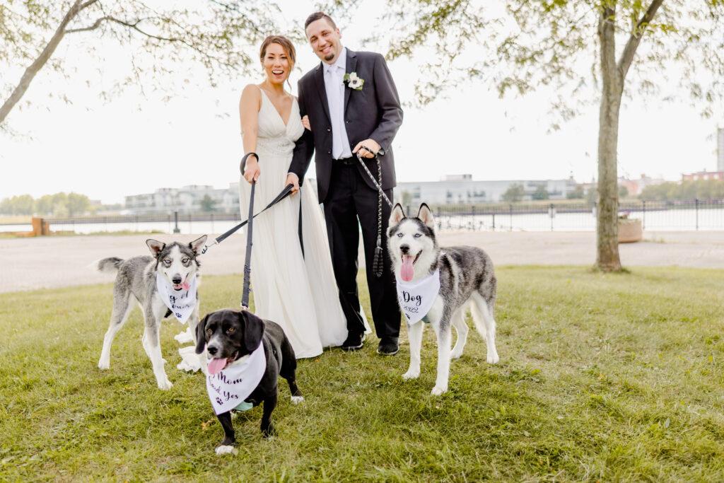 Tips For A Pet At Your Wedding